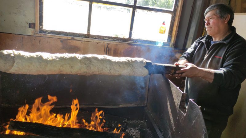 CONADI lanza concurso de difusión cultural para la Región de Magallanes y Antártica Chilena