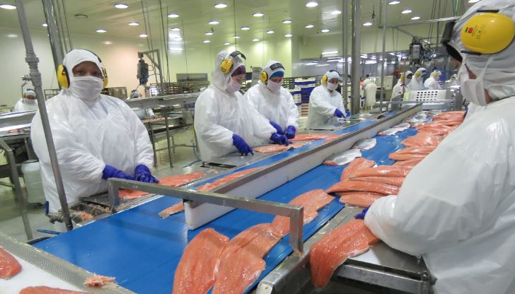 Gobierno Regional de Magallanes insta a empresa salmonera Nova Austral a dar continuidad de empleo a sus trabajadores
