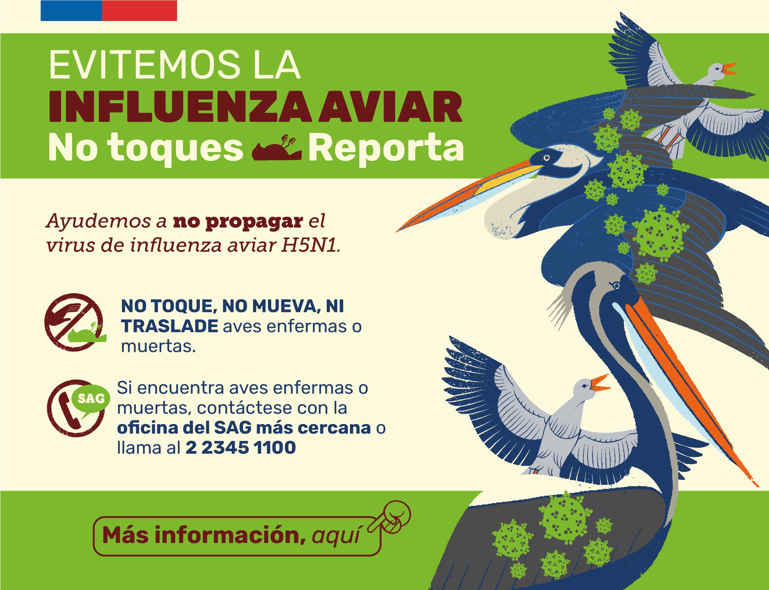 Se constituyó COGRID en Tierra del Fuego por detección de influenza aviar