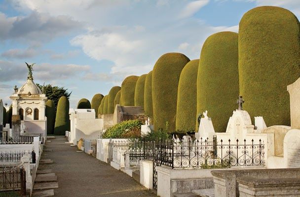Una urna con restos óseos apareció junto a un basurero del Cementerio Municipal de Punta Arenas