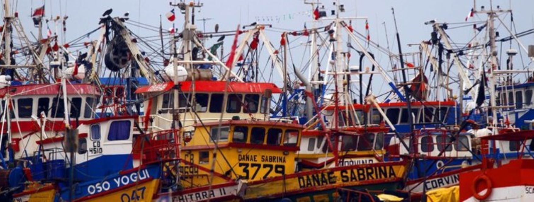 28 pesquerías en Chile se encuentran en estado de agotamiento, según informe de la Subsecretaría de Pesca y Acuicultura