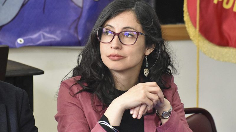 Punta Arenas: un Plan para una ciudad más segura | Luz Bermúdez Sandoval, Delegada Presidencial Regional de Magallanes