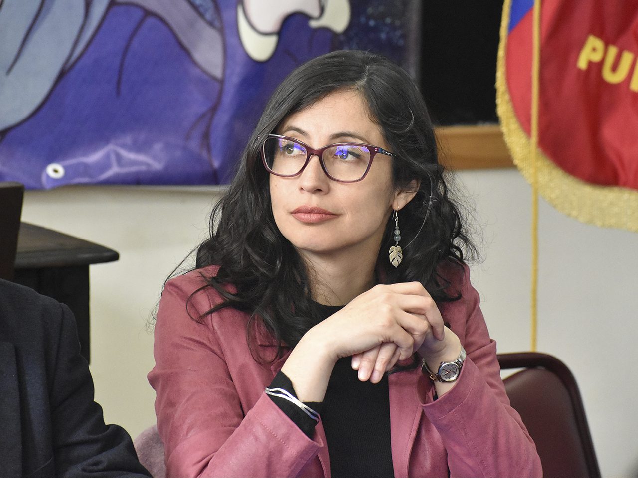 Punta Arenas: un Plan para una ciudad más segura | Luz Bermúdez Sandoval, Delegada Presidencial Regional de Magallanes