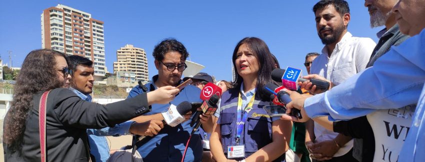 SERNAPESCA entrega reporte de animales marinos varados muertos por situación de Influenza Aviar