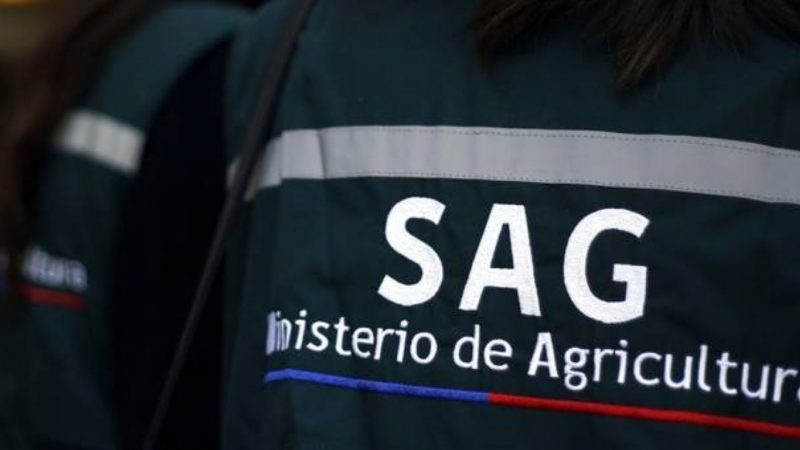 SAG suspende temporada de caza de aves silvestres