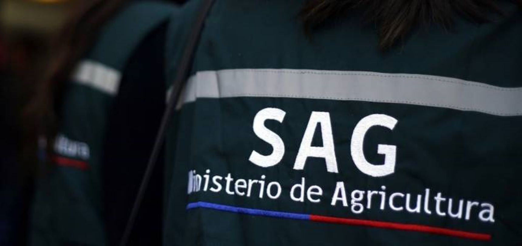 SAG suspende temporada de caza de aves silvestres