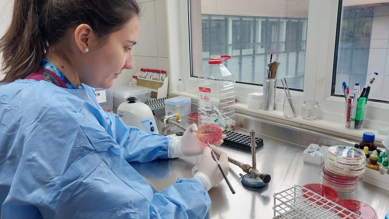 SEREMI de Salud y Hospital Clínico de Magallanes advierten medidas ante aumento en la detección de salmonella y shigella