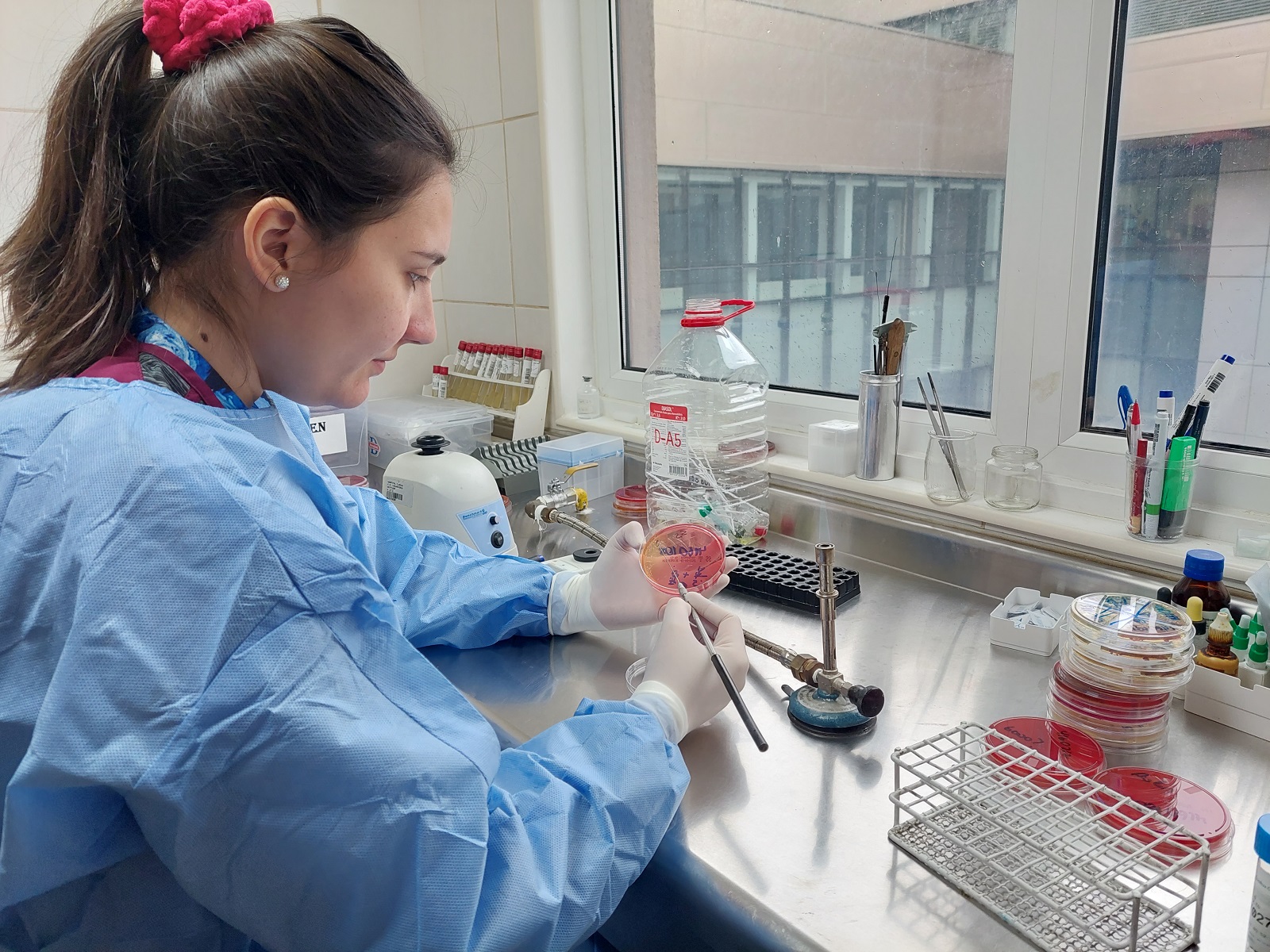 SEREMI de Salud y Hospital Clínico de Magallanes advierten medidas ante aumento en la detección de salmonella y shigella