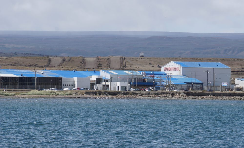 Gobierno Regional de Magallanes informa a empresa salmonera Nova Austral que centro de siembra para salmones está habilitado