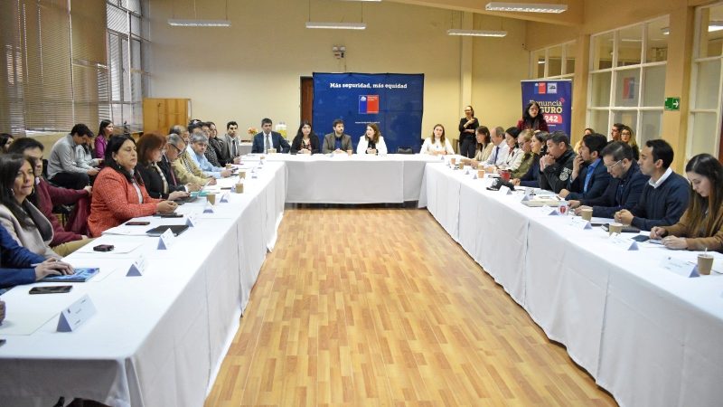Consejo Regional de Seguridad Pública aprueba Plan de Seguridad 2023 para Magallanes 