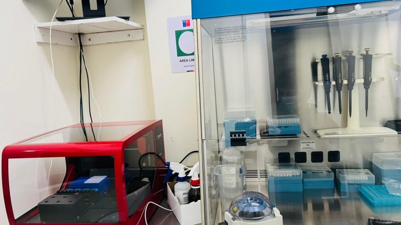 Laboratorio de Biología Molecular del Hospital de Natales implementa nueva técnica que permite detectar hasta 8 virus con una sola muestra de hisopado