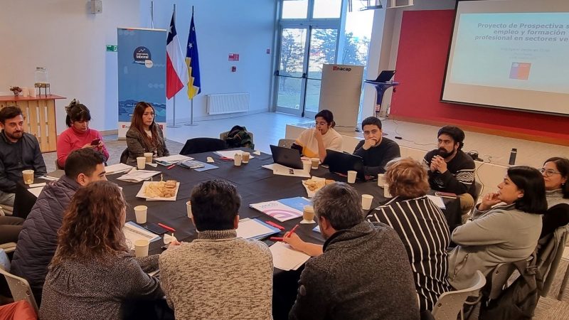 Con taller de expertos se realiza estudio prospectivo de formación y empleo sobre hidrógeno verde en Magallanes