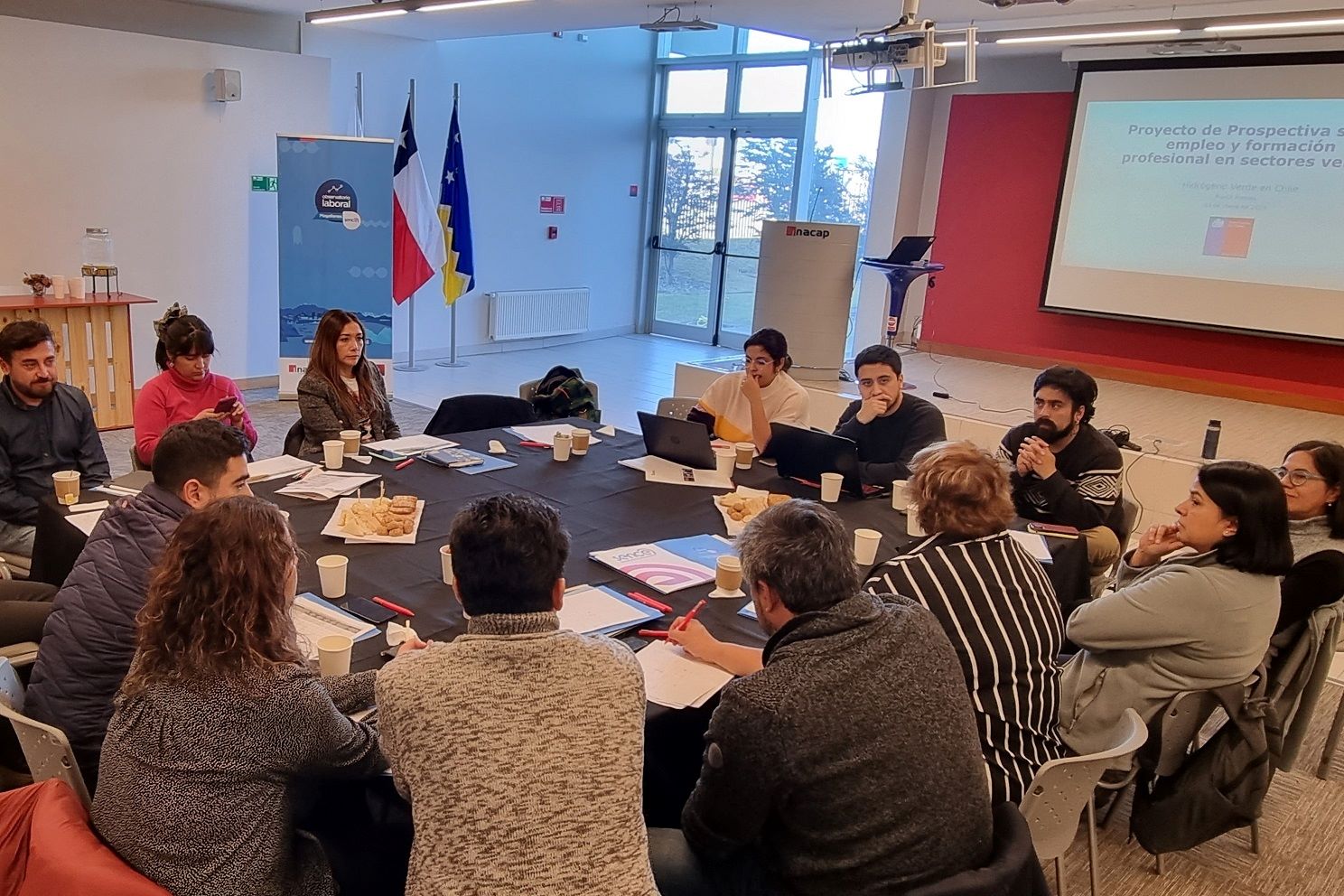 Con taller de expertos se realiza estudio prospectivo de formación y empleo sobre hidrógeno verde en Magallanes