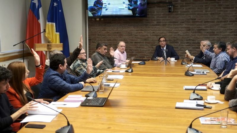 Por mayoría, Consejo Regional aprobó nueva Estrategia Regional de Desarrollo para Magallanes