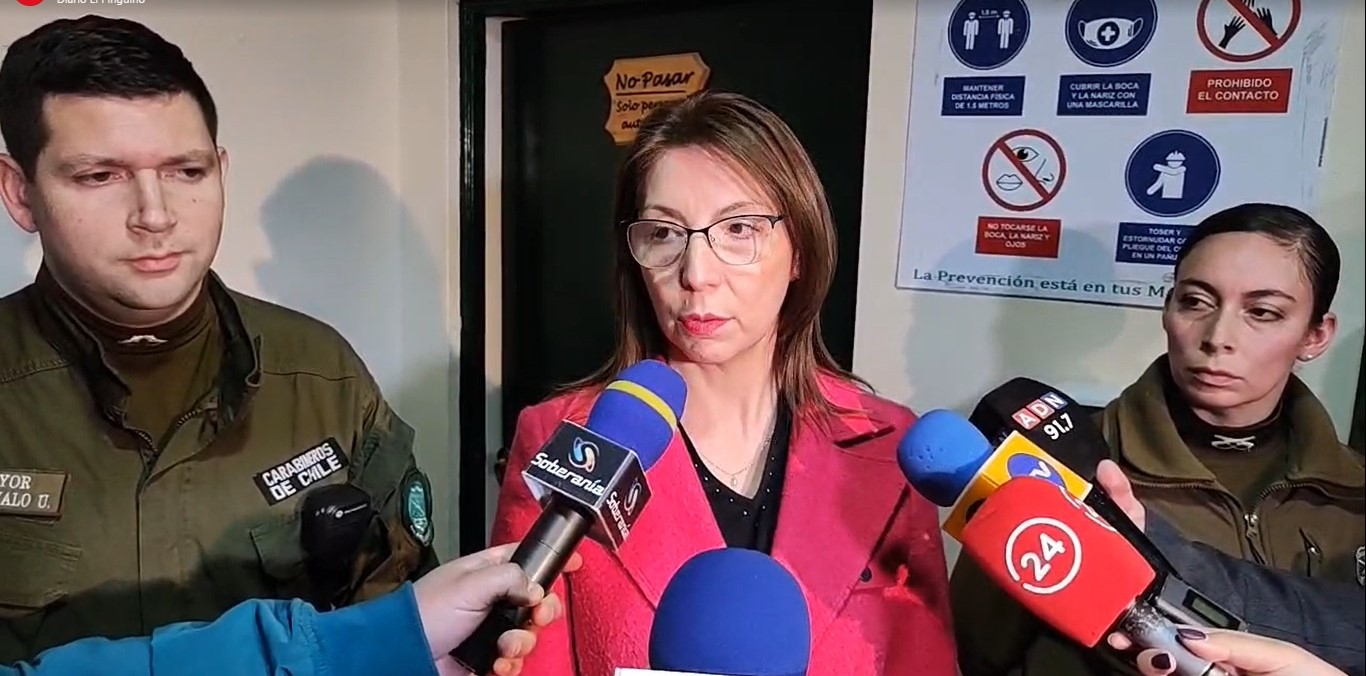 Detienen a presunto autor de femicidio en Punta Arenas