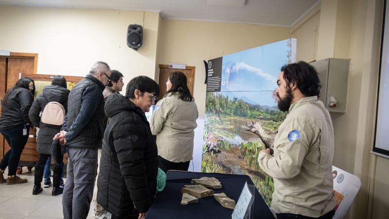 Familias magallánicas visitaron muestra de fósiles de Magallanes y Antártica en el Día de los Patrimonios