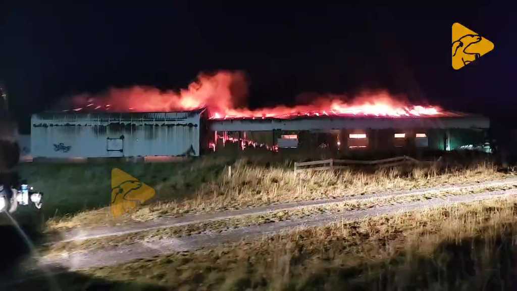 Incendio en antigua pesquera abandonada en el sector aledaño al campus UMAG de Puerto Natales