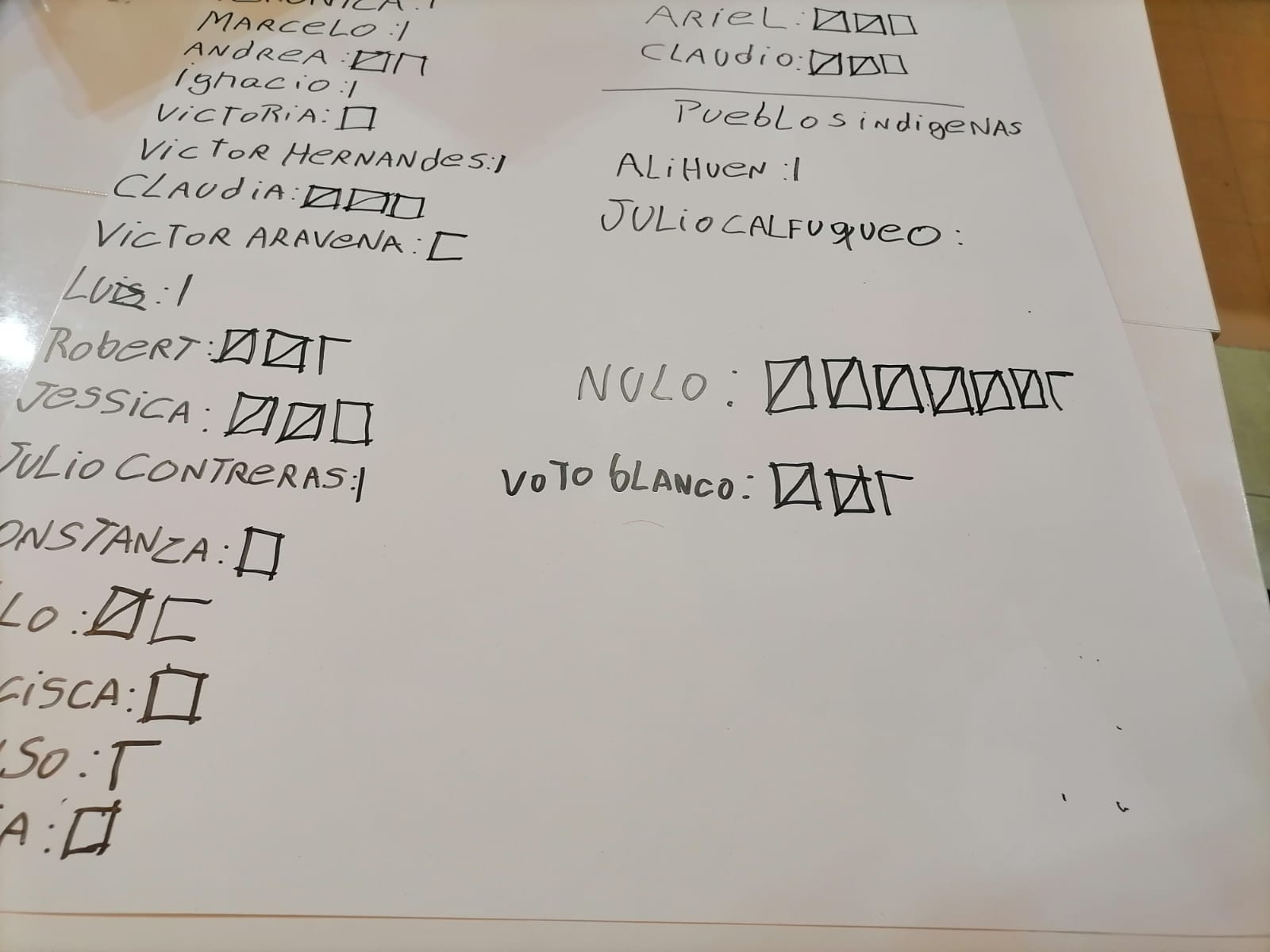 Gran cantidad de votos nulos en recuento de elección de Consejeros Constitucionales en Magallanes