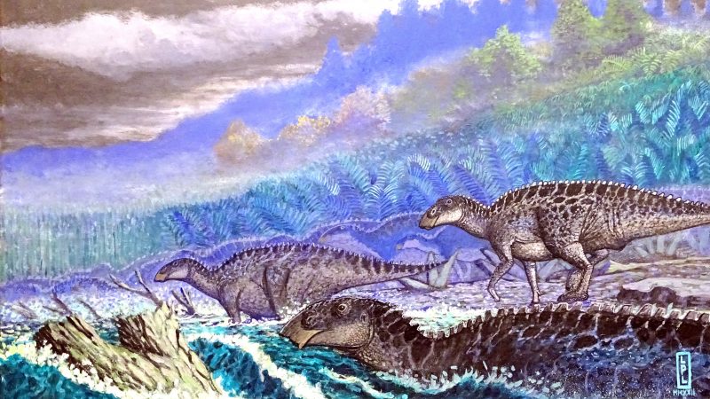 De ‘Guido’ a Gonkoken nanoi: Conoce la historia del hadrosaurio que vivió hace 72 millones de años en la Patagonia