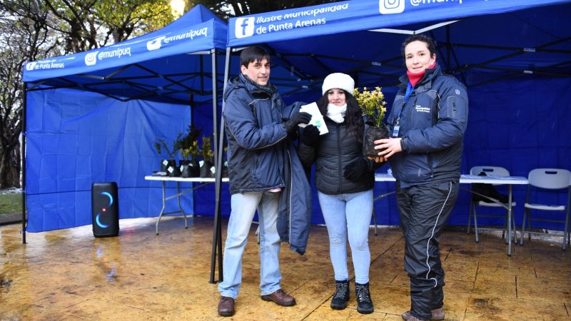 Municipio de Punta Arenas regaló arbustos y semillas en celebración al Día Mundial del Árbol
