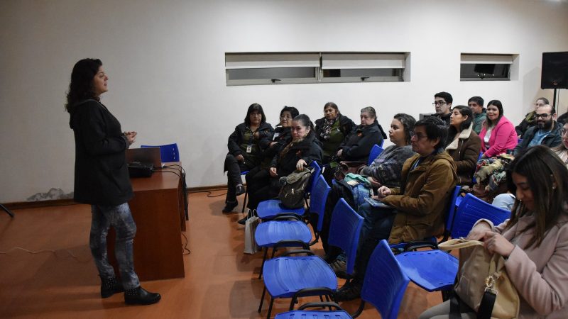 Jornada Regional del Programa Especial de Salud y Pueblos Indígenas (PESPI) fue realizada el Servicio de Salud y SEREMI de Salud Magallanes