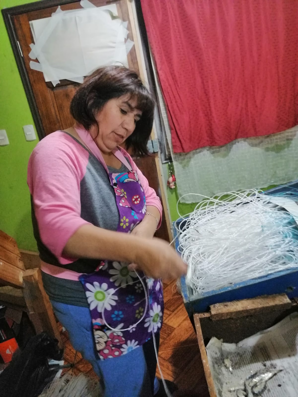 Molestia en la Corporación de Mujeres por la Pesca Artesanal