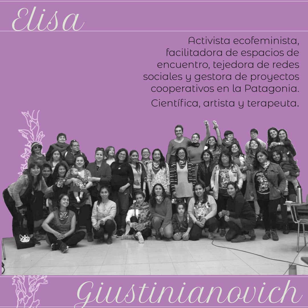 Ier Seminario Ecología y Feminismos del Sur en Liquenlab desde la región de Magallanes