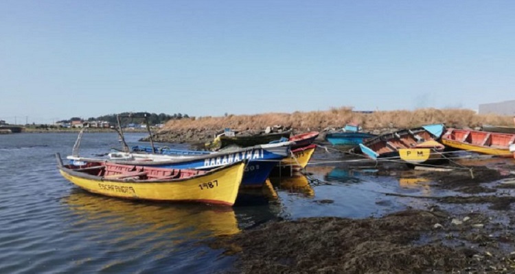 Pescadores artesanales por anuncios de Pdte. Boric: «Quienes nos vimos afectados con la Ley de Pesca pedimos justicia en la distribución de recursos»