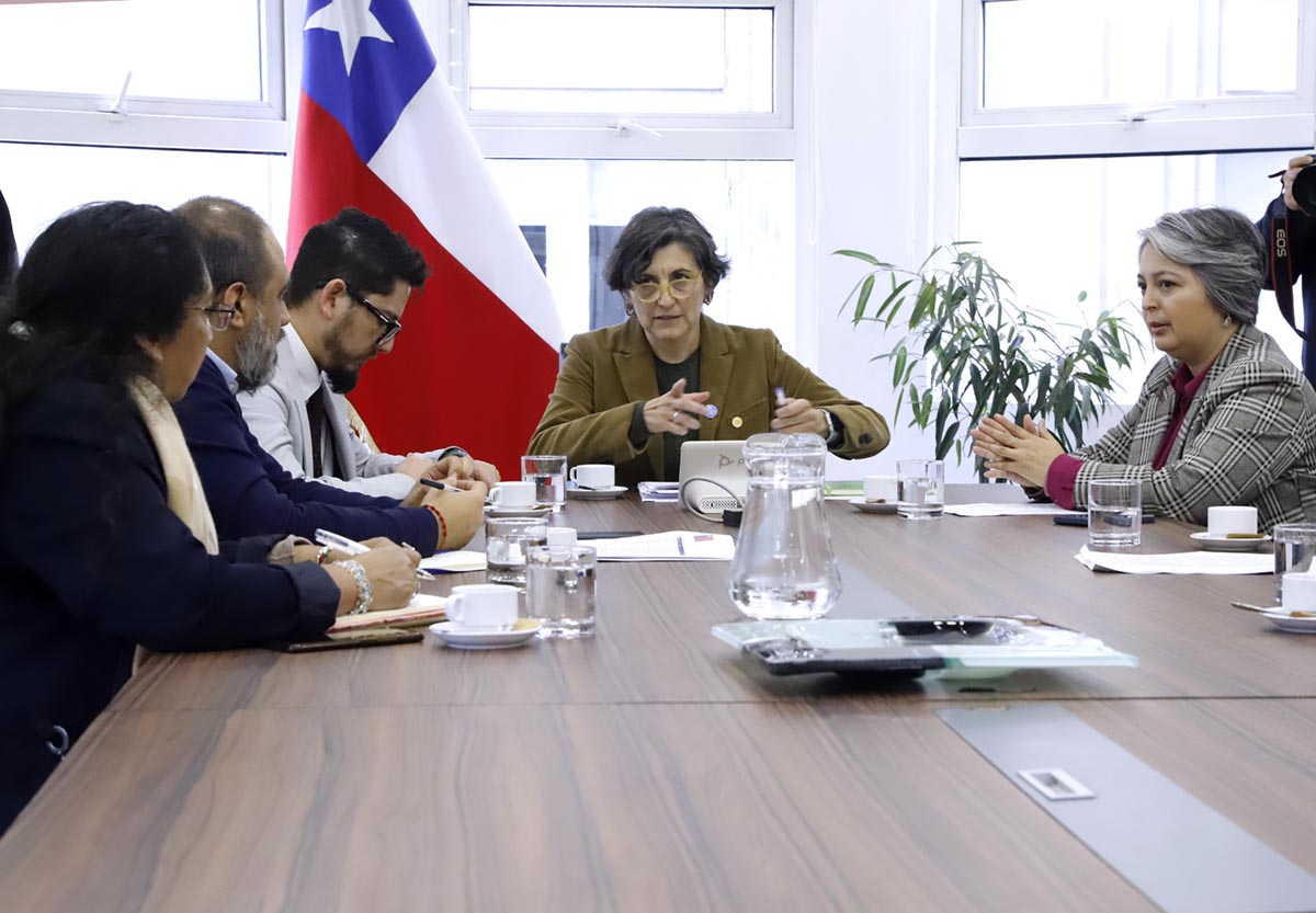 Ministra de Salud se reúne con sus pares de Educación, Trabajo y Mujer en el marco de la Campaña de Invierno
