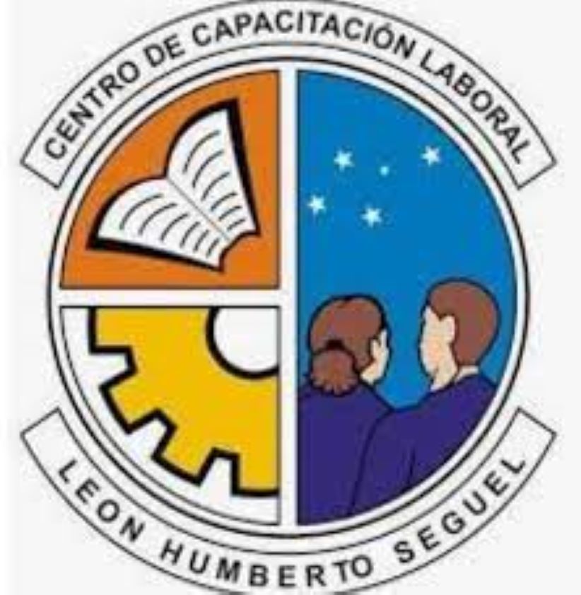 Carta de los docentes del Centro de Capacitación Laboral León Humberto Seguel se refiere a no pago del 100% de sus remuneraciones