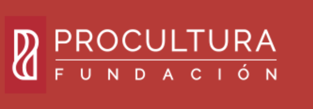Declaración pública de Fundación ProCultura profundiza y detalla el trabajo efectuado por la institución en la Región de Magallanes