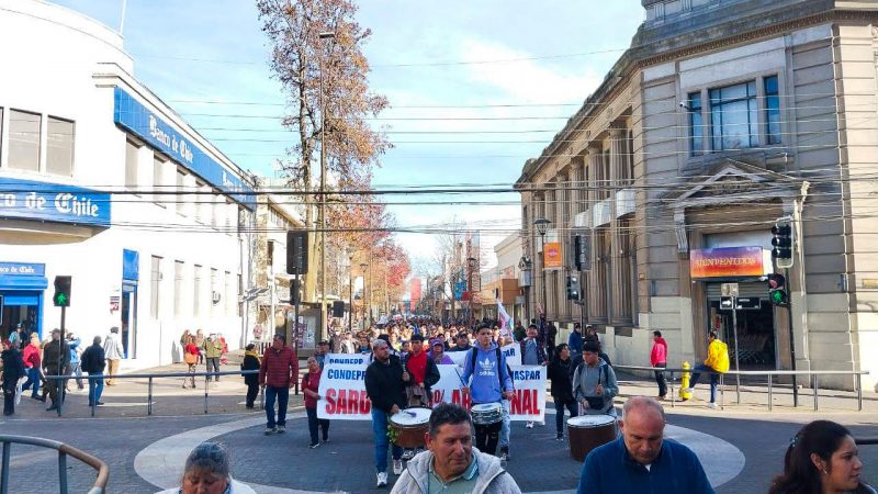 Piden una Ley de Pesca con Plataforma Social y Sardina 100% artesanal | Pescadores artesanales marchan en Concepción