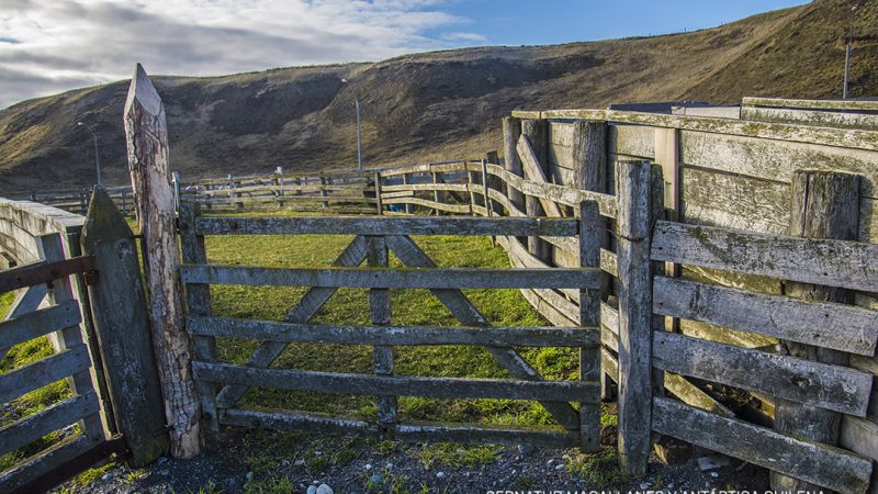 Más de 6 millones de pesos ingresan a la comuna de Timaukel en Tierra del Fuego por permisos de circulación 2023