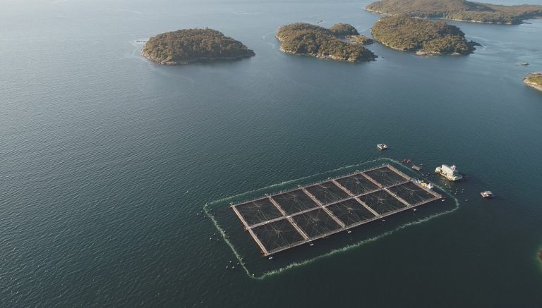 Cambio climático: impacto en el ambiente marino y acuicultura