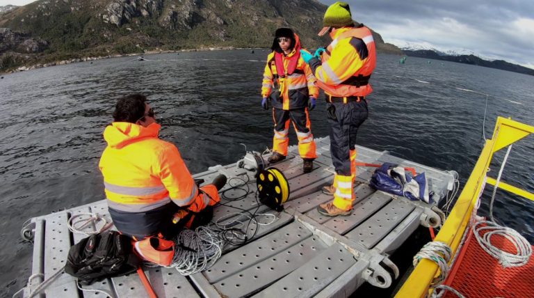 Nuevos centros productivos de salmón en Magallanes han sido habilitados