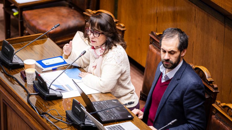 Autoridades de Economía y Minería presentan al Senado la Estrategia Nacional de Litio