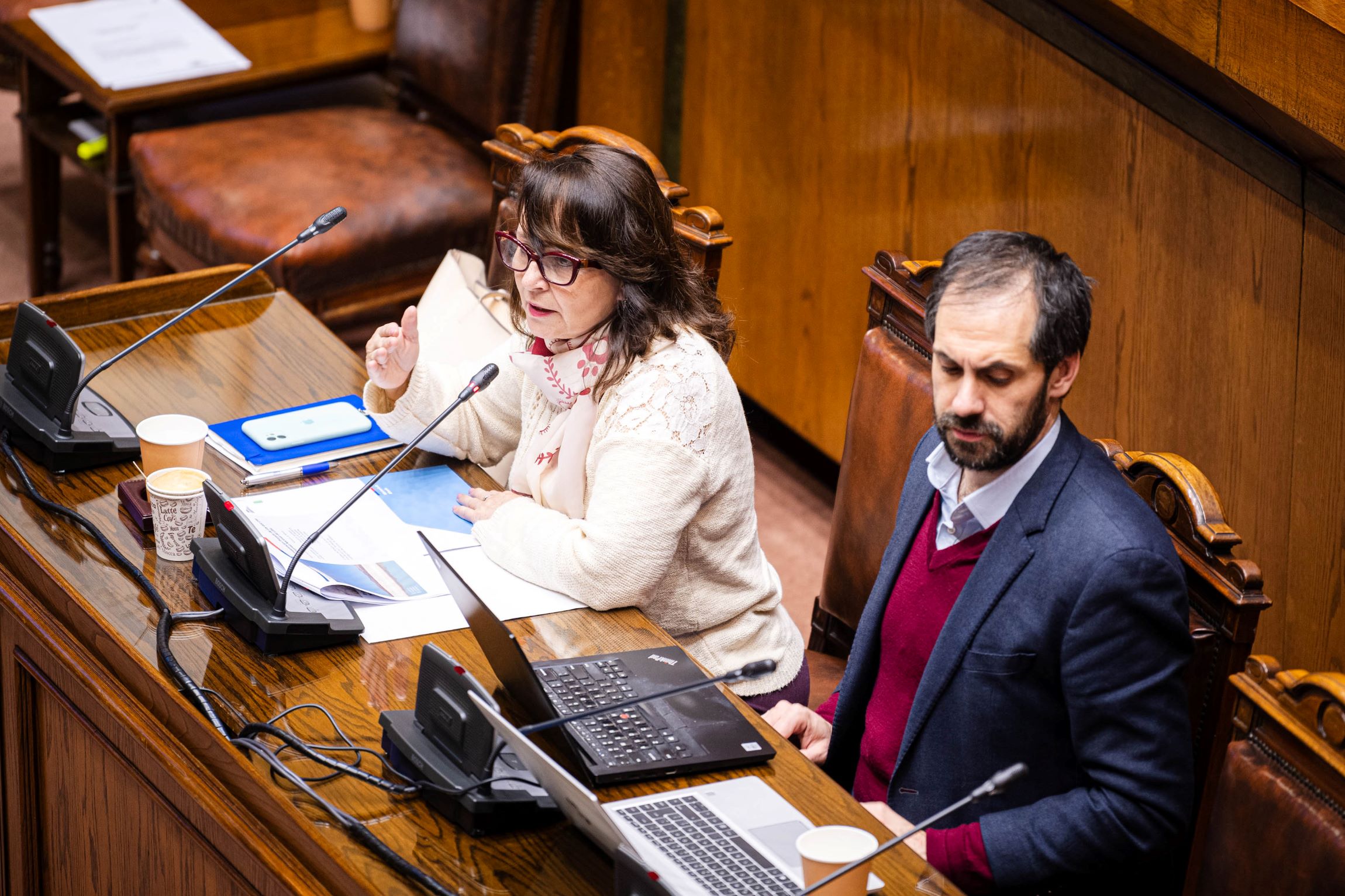 Autoridades de Economía y Minería presentan al Senado la Estrategia Nacional de Litio