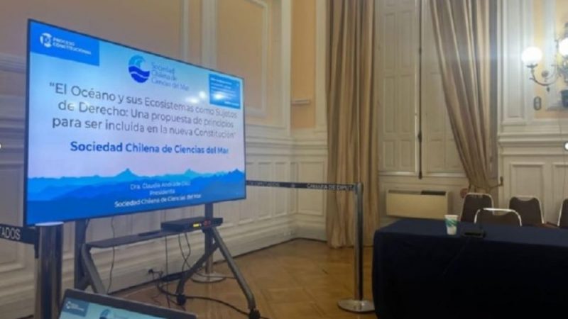 Una propuesta de principios para la nueva Constitución presentó la Sociedad Chilena de Ciencias del Mar (SCHCM) al Consejo Constitucional