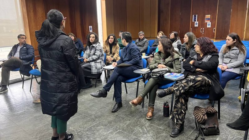 Diputada Javiera Morales asiste a Comisión Protección Regional de la Niñez y Adolescencia que sesiona en Magallanes