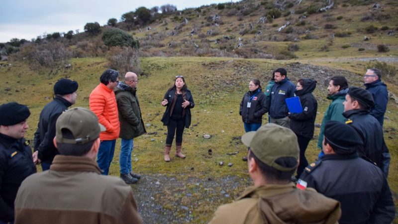 Refuerzan acciones tras primer caso de influenza aviar en la Provincia Antártica Chilena