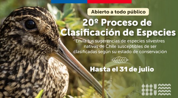 Ministerio de Medio Ambiente inició 20º Proceso de Clasificación de Especies (2023)