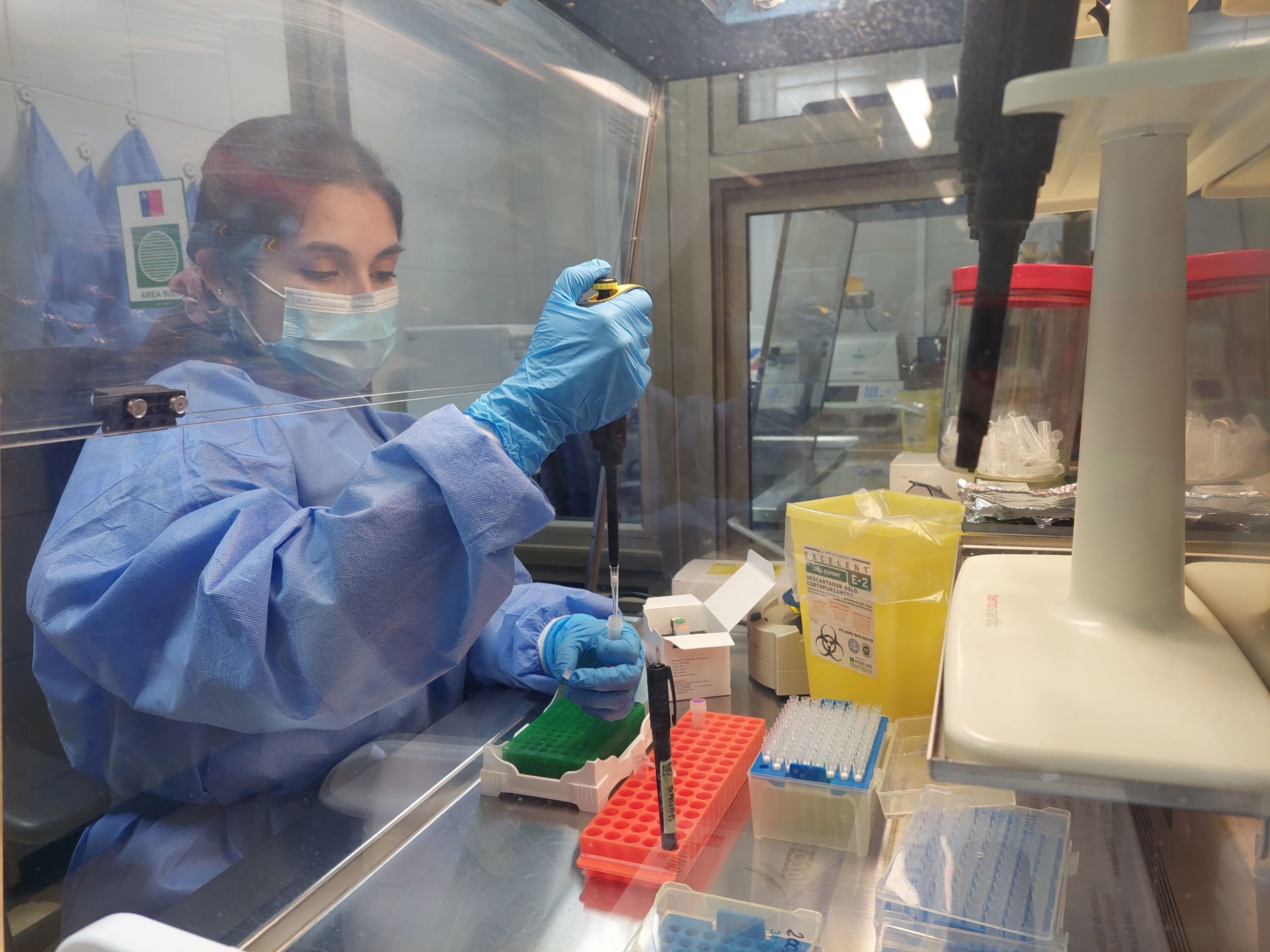 Laboratorio del Hospital Clínico realizará subtipificación de Influenza A, para determinar qué variante de influenza circula en Magallanes