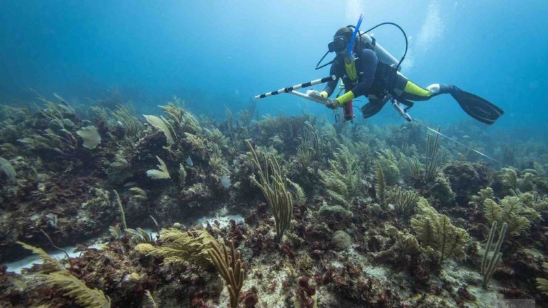 America Latina será una de las regiones más afectadas por el Cambio Climático