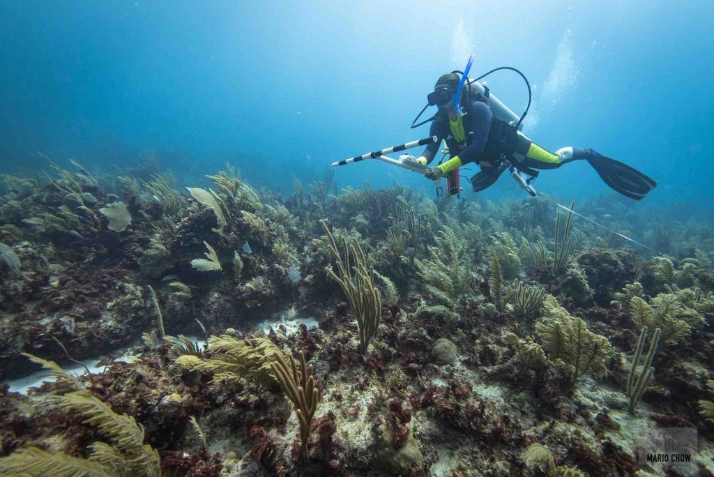 America Latina será una de las regiones más afectadas por el Cambio Climático