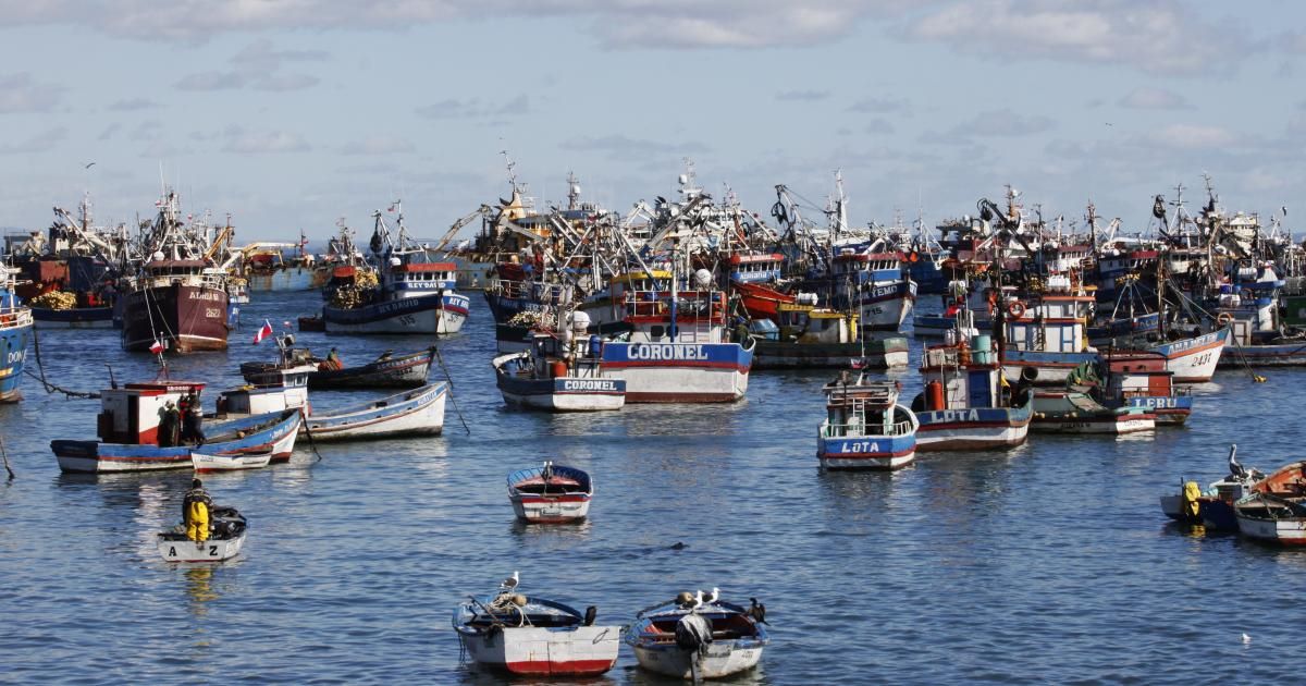 Organizaciones de pescadores artesanales buscan apurar presentación de proyecto de nueva Ley de Pesca
