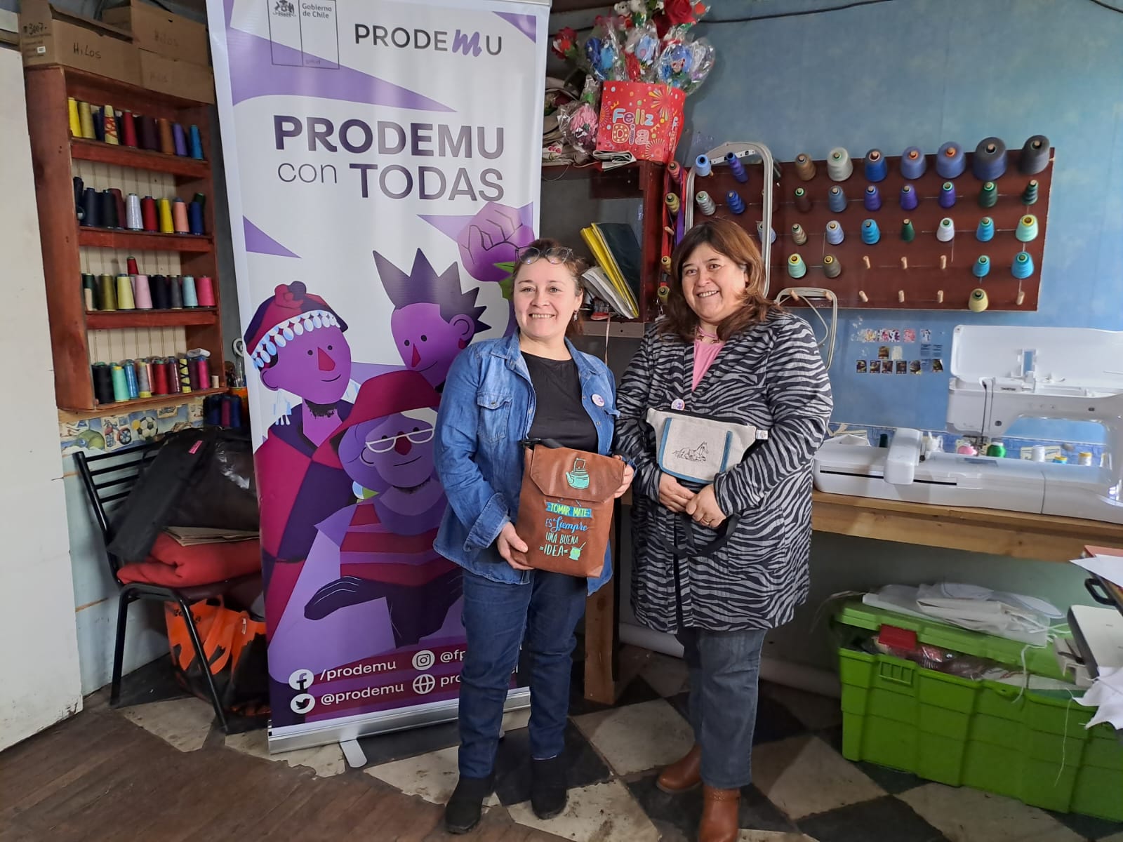 Agrupación “Amanecer Austral” fue la elegida en la región de Magallanes para la capacitación del Sello Emprende Prodemu