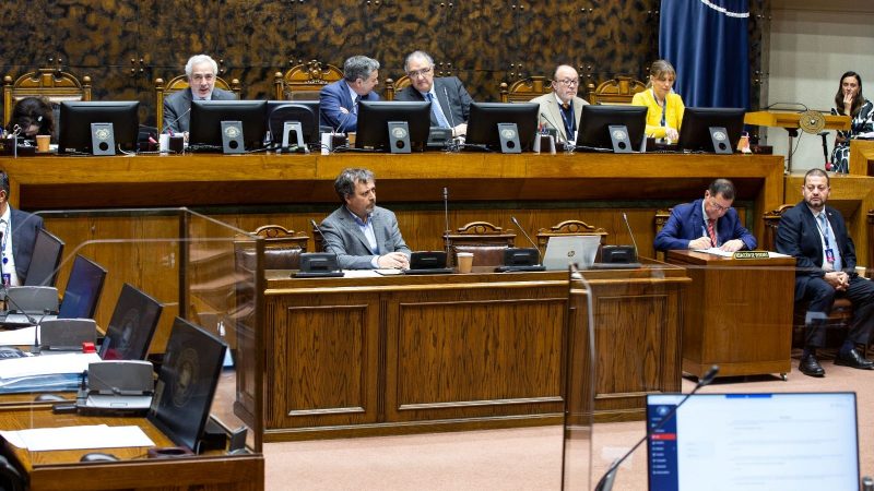 Senado despacha a ley suspensión de caducidades del sector artesanal por única vez y tiempo limitado