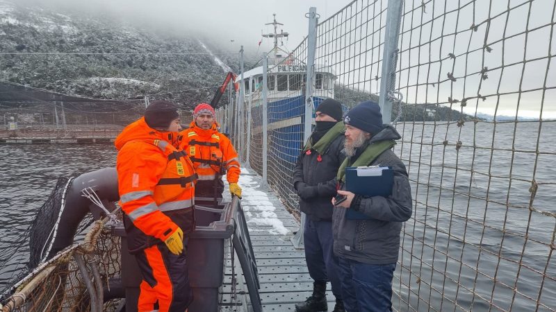 Dirección del Trabajo cursa nuevas multas a empresas salmoneras en Magallanes por infracciones laborales y de seguridad