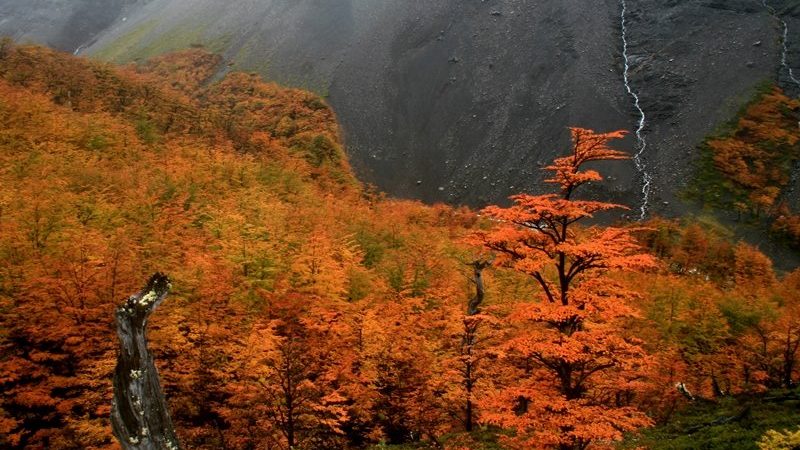 Destino Magallanes | Turismo en la región chilena más austral del mundo