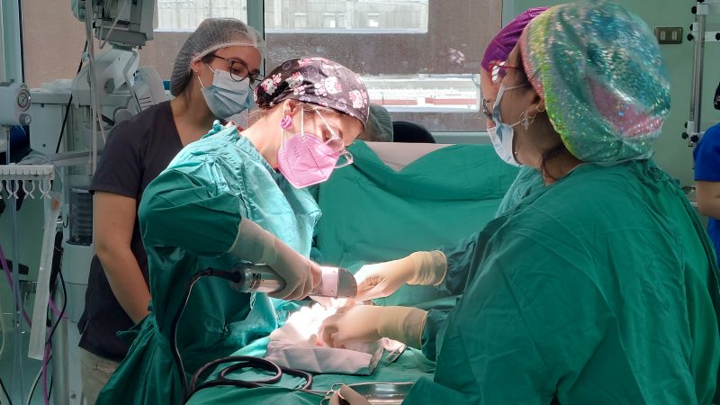 Hospital Clínico de Magallanes realizó primeros injertos de cuero cabelludo pediátricos en la región